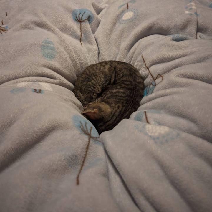 A6a5a4e2 2df0 41bc 9c49 a8324db3f78e 1705803760299