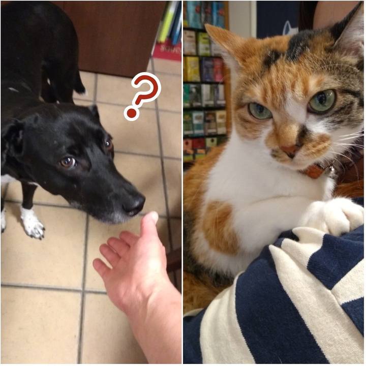 A6a5f57d 0af6 44d1 b283 df2146ffa977 1623668648641