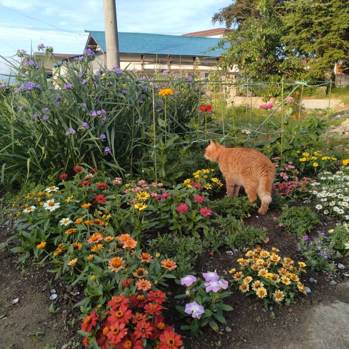 A6a61702 e9df 4829 8718 2599a580db37 1718576262524