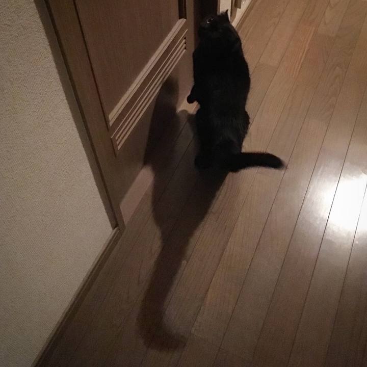 A6a67512 f1a3 42ba 9464 a579bd97ca2a 1542321303413