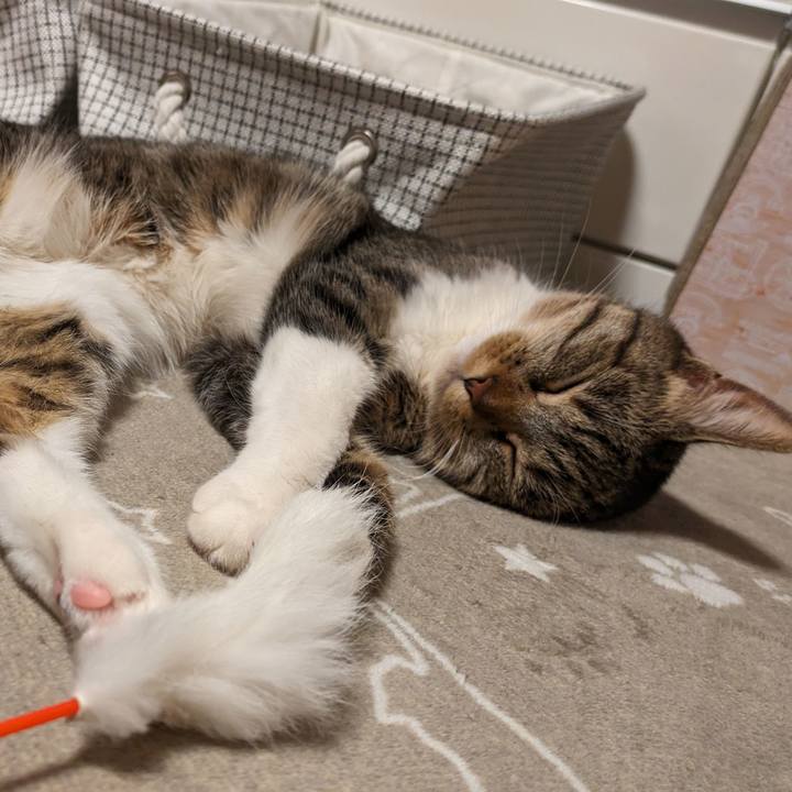 A6a67a87 8ba9 4881 81a9 07716243c4a6 1711458763824