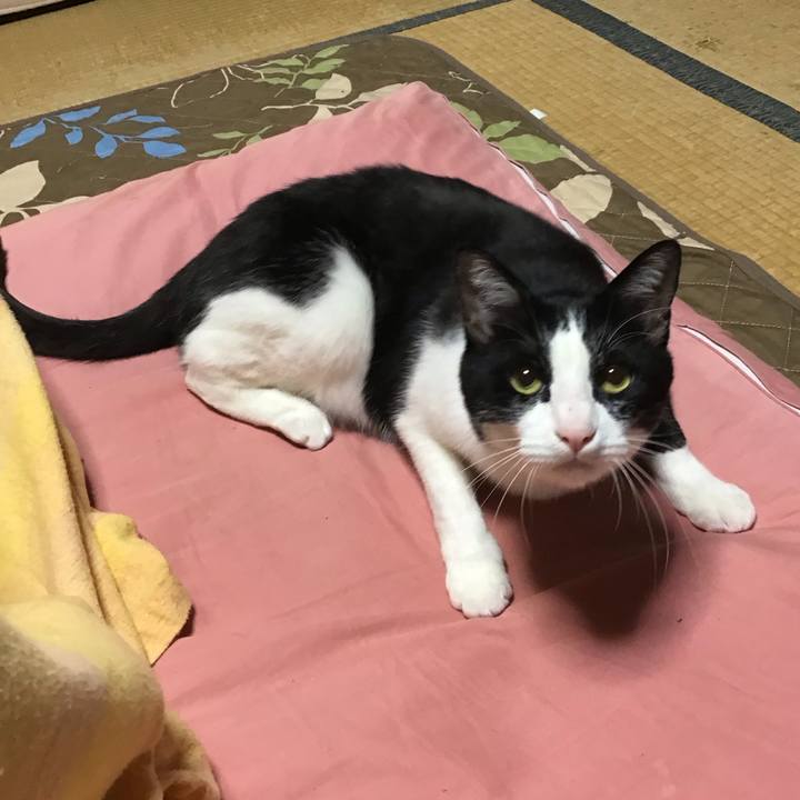 A6a6843d be8e 4d67 92b6 2391d87fb1c8 1685191284326