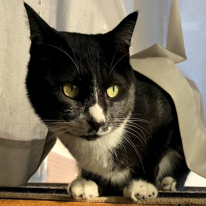 A6a69028 5d77 467b 899e 7661fe0972c0 1635997279158