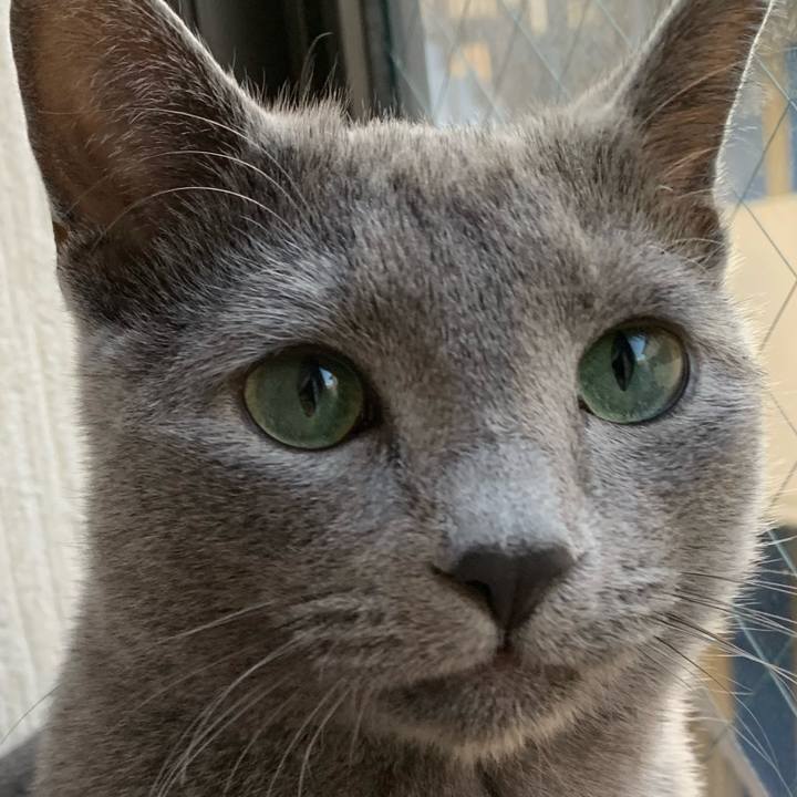 A6a6c306 6767 4df2 846d f154556e4b66 1578610639491