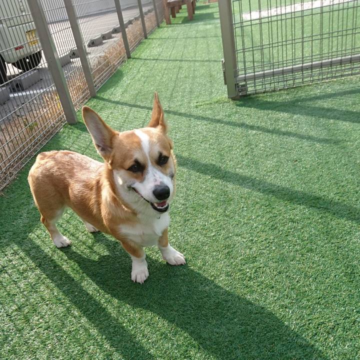 A6a6d20a e3e2 4ec0 b09a 6344c620a48b 1576029419773