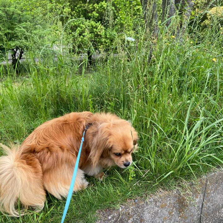 A6a6d8ad d45d 460e bfb3 8ccac69edf94 1590010907098