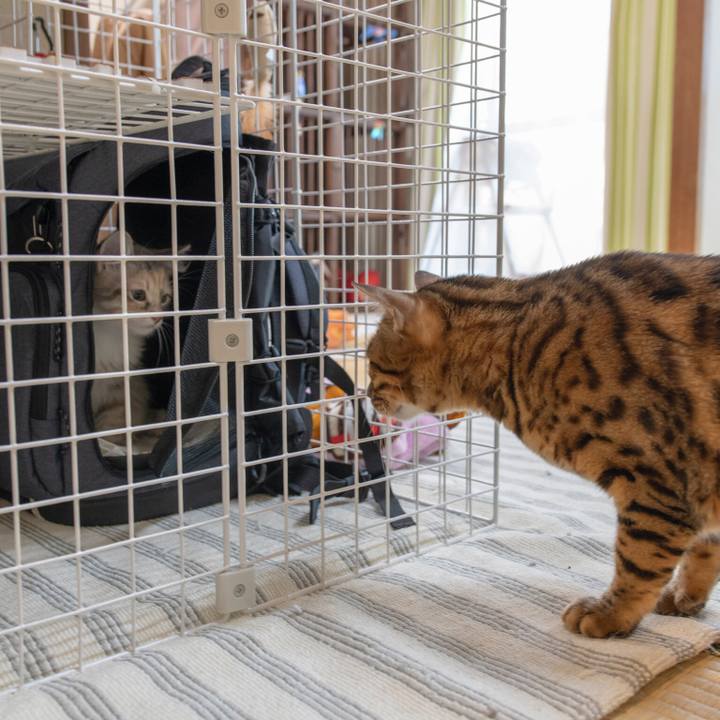 A6a6d8c1 b1fd 423b 936f 8d4f3a8f1e41 1537355608059