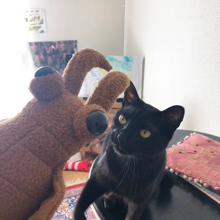 A6a6eae5 4635 464a 86a2 d413fe5978fe 1546049957533