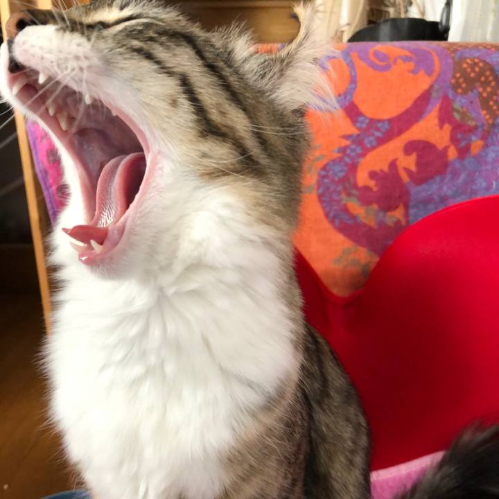 A6a70a1e f5a5 45db 98e9 b541708d14bd 1516342649598