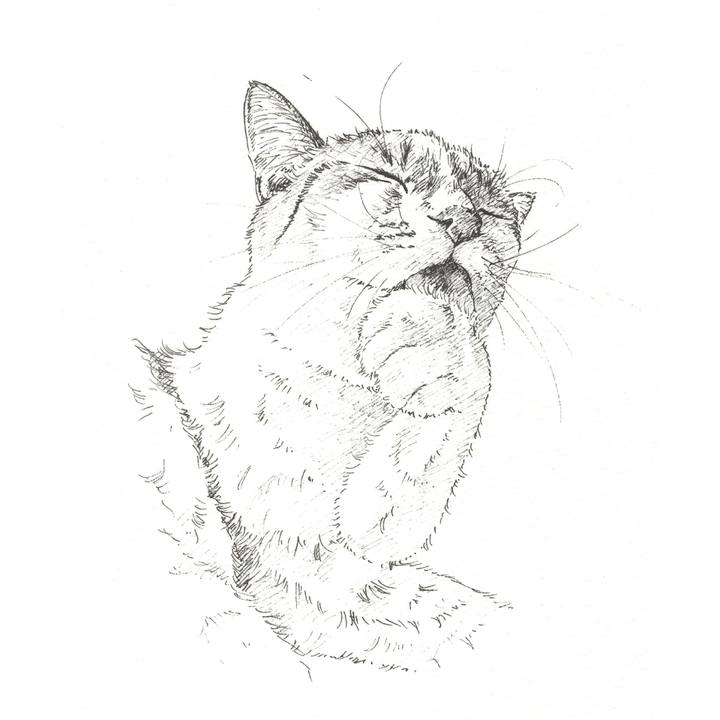 A6a729bc b264 481b 9ee9 4d548e3a5376 1563200914956