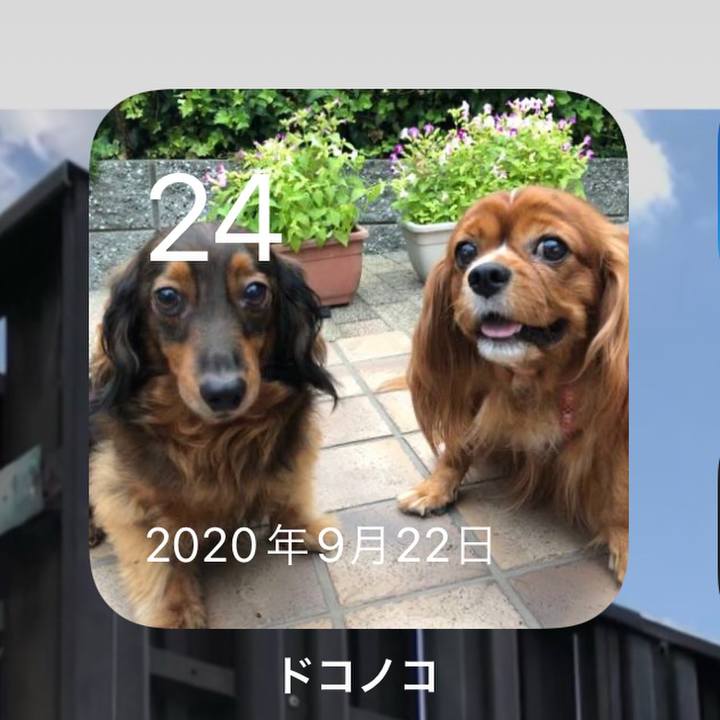 A6a73eb2 91e3 4f9c 8e37 5bec68a9670c 1663975408824