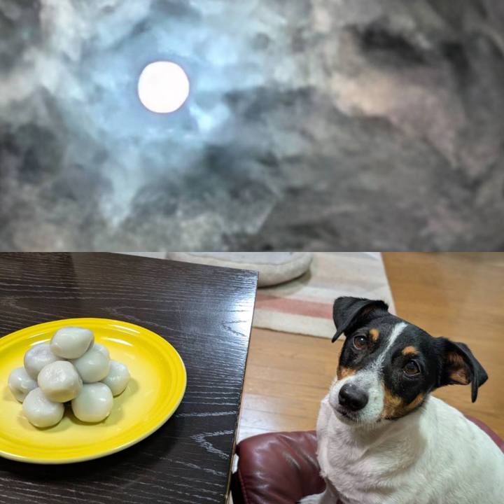 A6a7d774 0d9d 44e7 b7db f23616337671 1759750846263