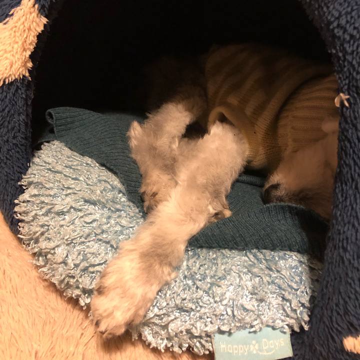 A6a7f350 ead6 4751 a8fa 11c1981db01e 1667052113629