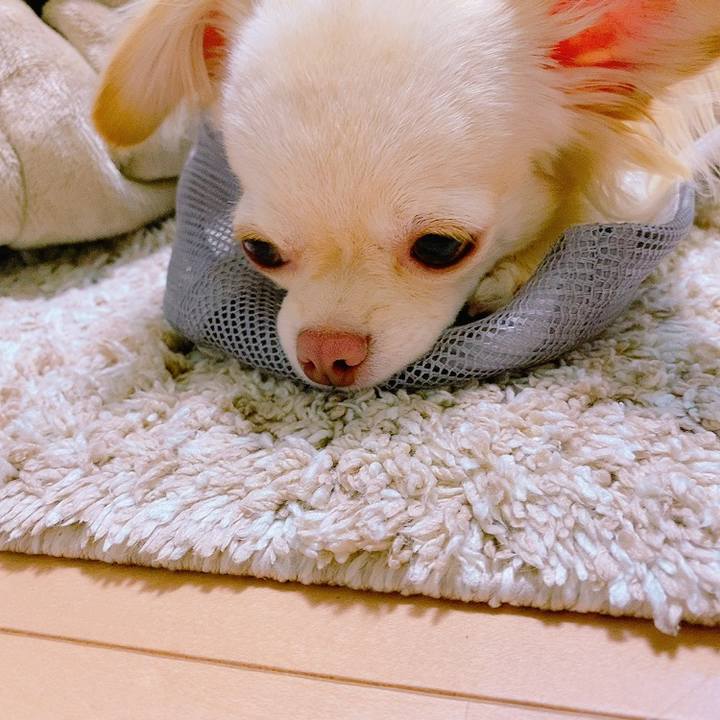 A6a7f962 3f9a 41bb 962a 4688342ecfda 1627216696246