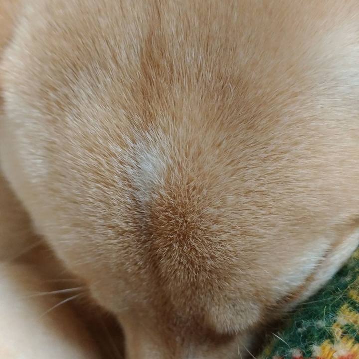 A6a7fc1b 32b7 403d b52b 60fd66af6ad6 1515673939203