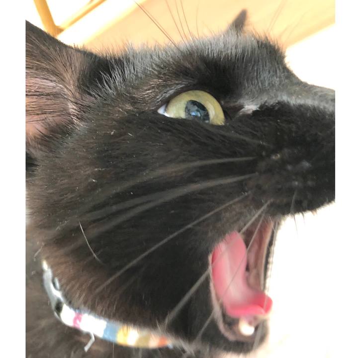 A6a81e1d 408a 4e5b ac17 884f73713d67 1521946392837