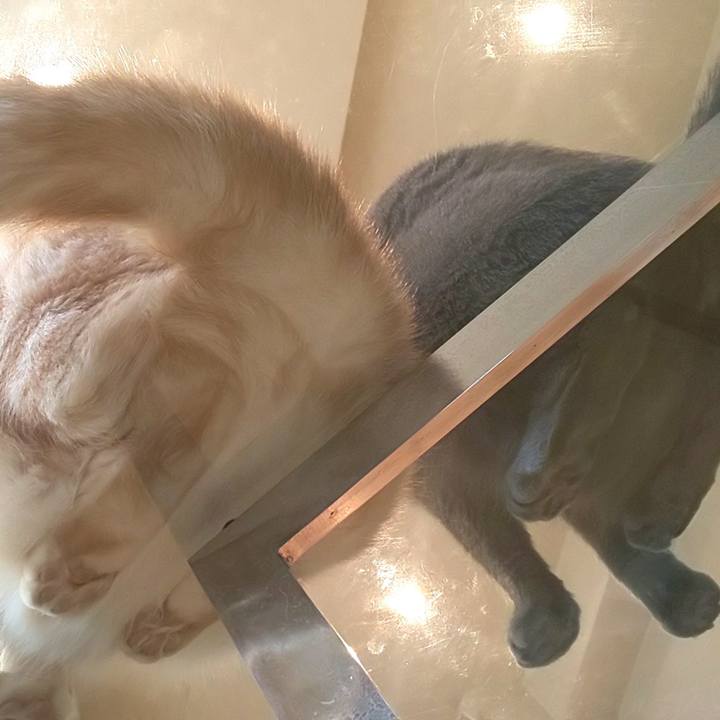 A6a846fa d136 4729 8fdc 5727ab42c45b 1593592224844