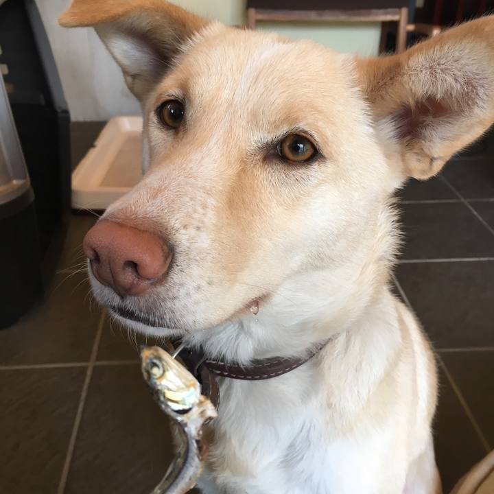 A6a8ff65 a426 4899 b91c 9da575007139 1514210415790