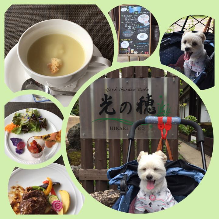 A6a92f45 8fd0 40a0 a4e7 56eddb8c6202 1561536999973