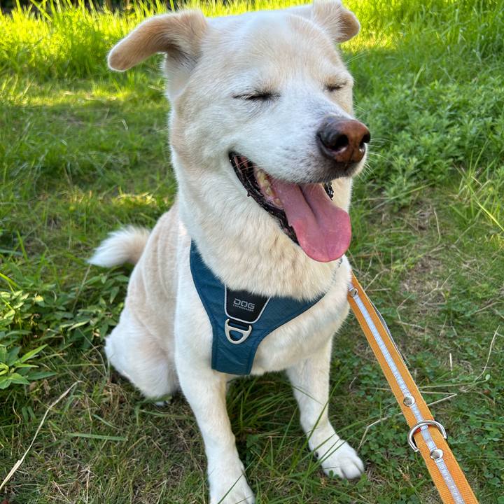 A6a953d2 2049 4c2c b164 37055a8fcb17 1753753886223