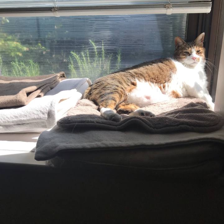 A6a9548c f2e1 4783 baf9 aac46bb6d13f 1618795223353