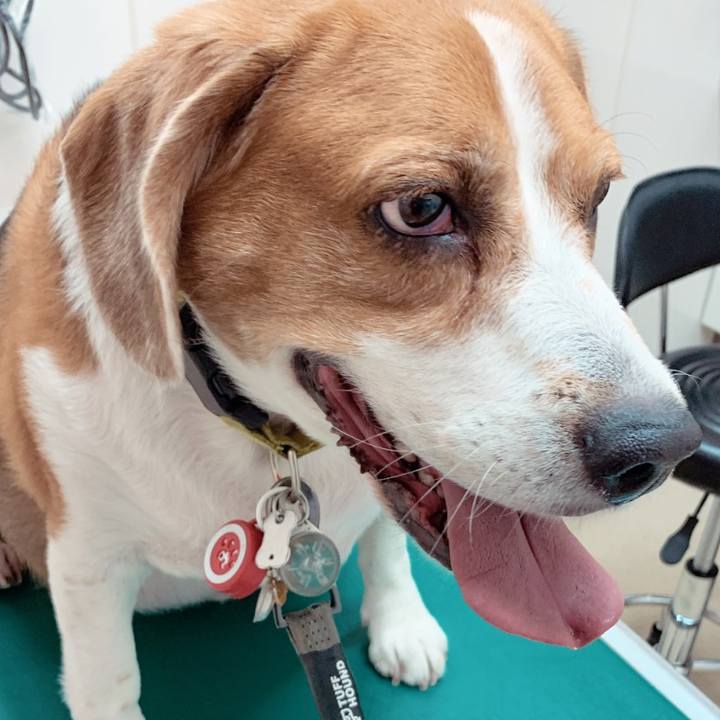 A6a954b1 5391 4b2d a139 e7c9f227ec1a 1688872677019