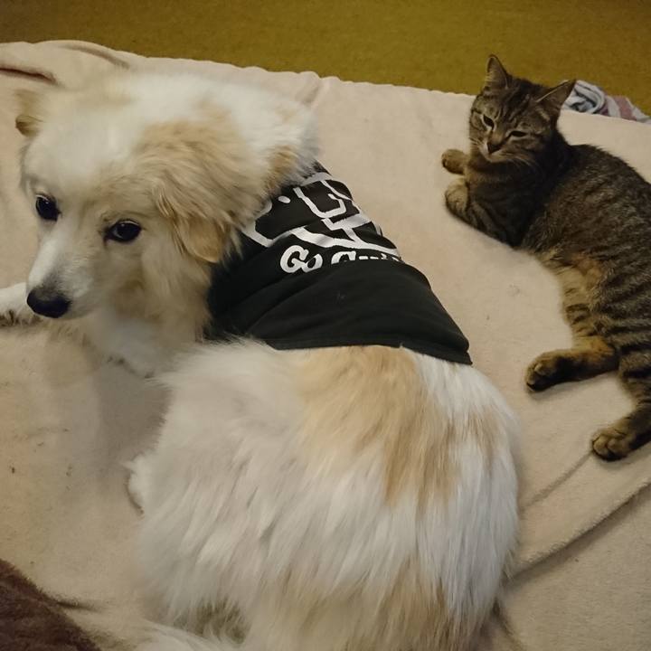 A6a95ffe cba9 45da 9e76 fe54aaf9f997 1557154164701