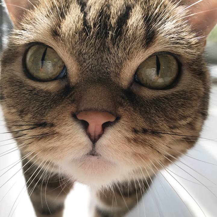 A6a9b21b 5d88 4001 912f 40352f6e3f79 1509421079066