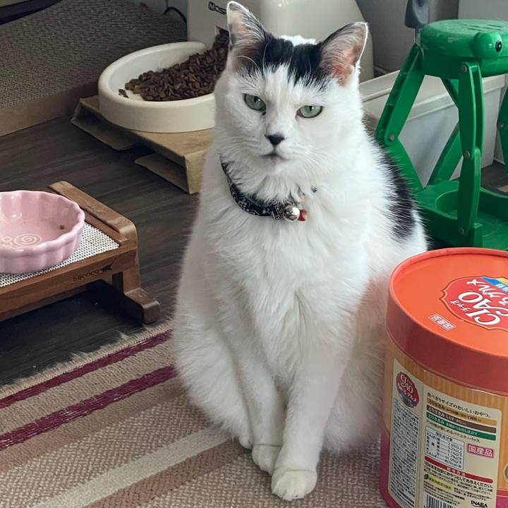 A6a9f625 624f 40be 8620 647d21db1401 1733801434088