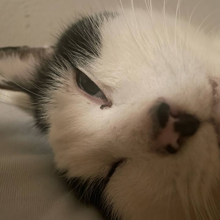 A6aa3222 2e93 4ddc a59c 40eae82979b7 1738325643021