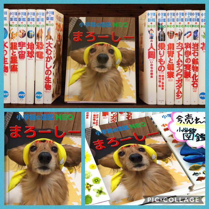 A6aa557d e0d6 4fcf a20e 856da7e8c14b 1578320615680