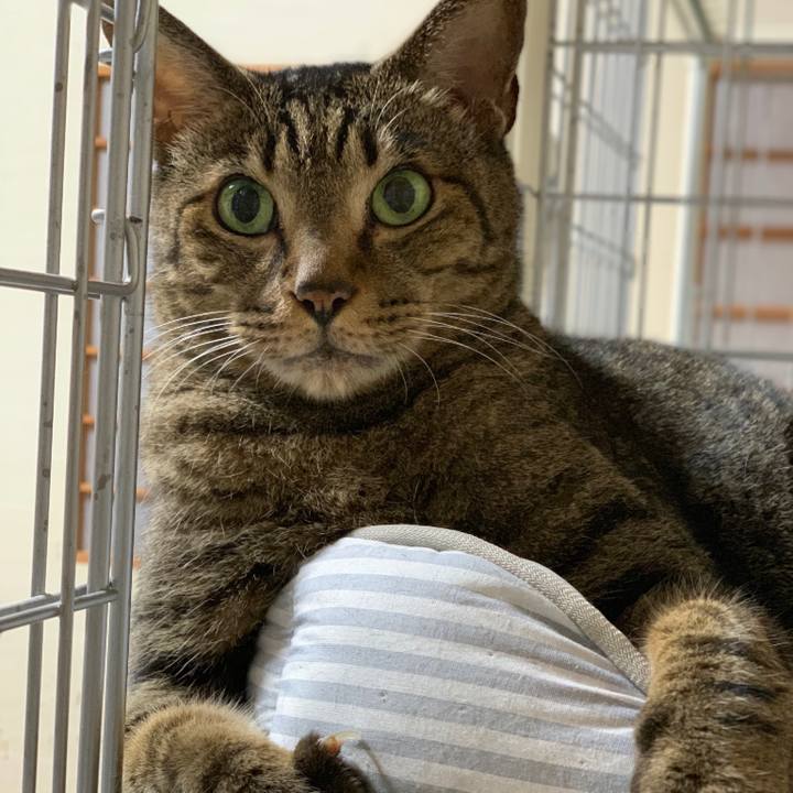 A6aaa89e b812 4099 bf6f 0dd34861493f 1538181521742