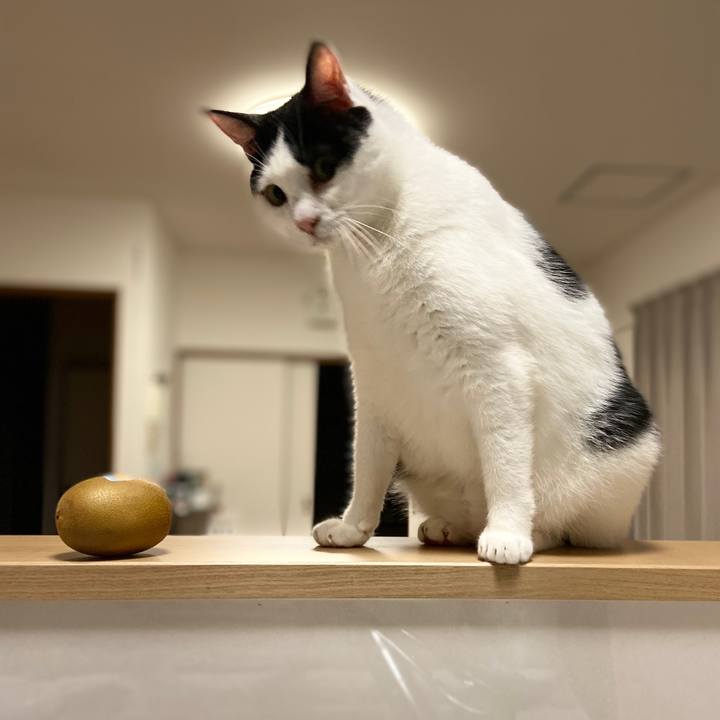 A6aabe35 5b39 4239 9d50 92be786fd245 1571828673644