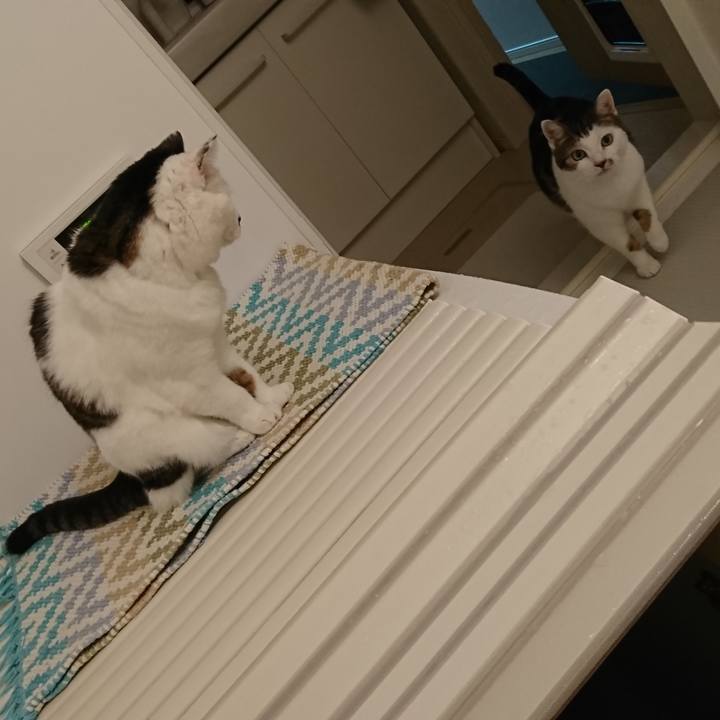 A6aaed46 6cde 45d4 add9 af1380240f62 1571647870871