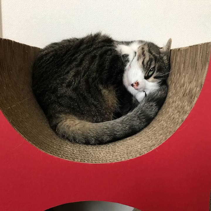 A6aaf10b 80f3 489b a58d 03f0b4b04089 1563152717703