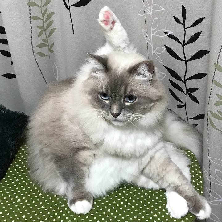 A6ab2a8d 6831 431e 937c 09de6de4f8e9 1510097340026