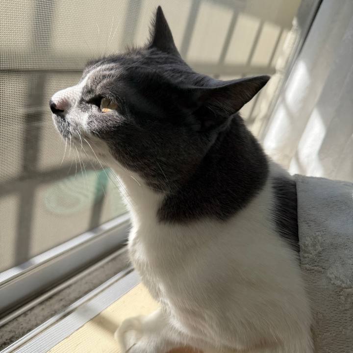 A6ab5fcb cdf9 42b2 8734 a76a3482b13e 1762133218949