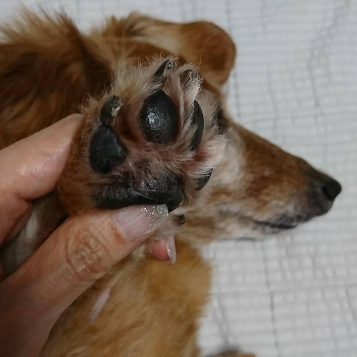 A6ab6cde d41c 40a9 8367 50449ca76941 1508313711646