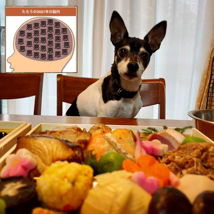 A6ab75ac a7f7 499e 9afc 5caf1d59432d 1609634981061