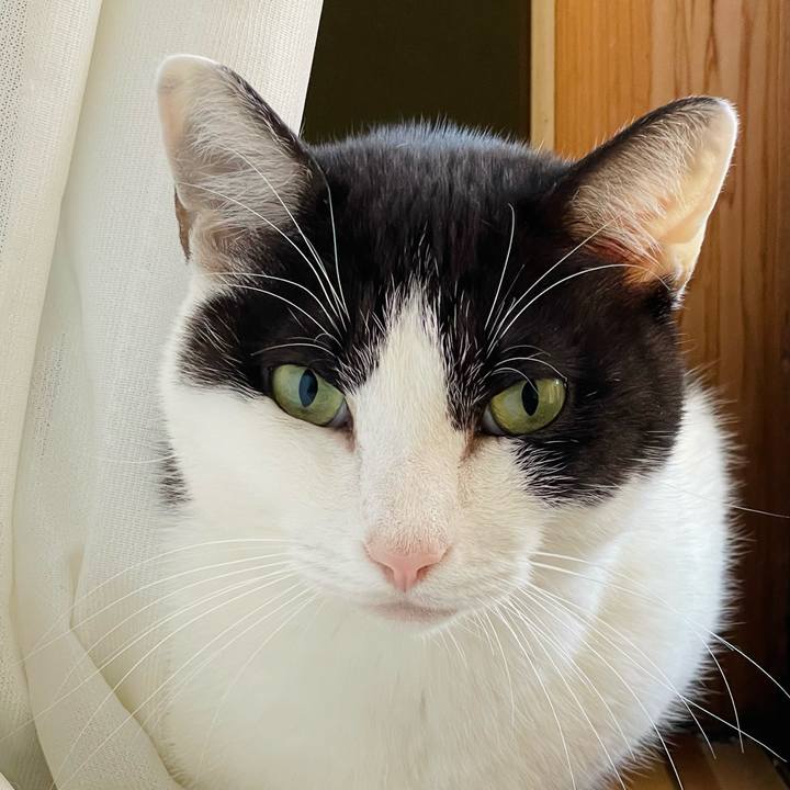 A6ab85ef ae45 4e8b 91aa 5730f6cb71b0 1638585387632