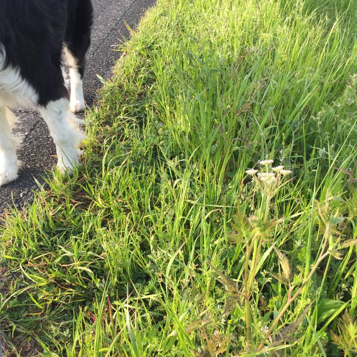 A6ab8709 4ac2 45c8 92ec cb96d7799640 1554945003318