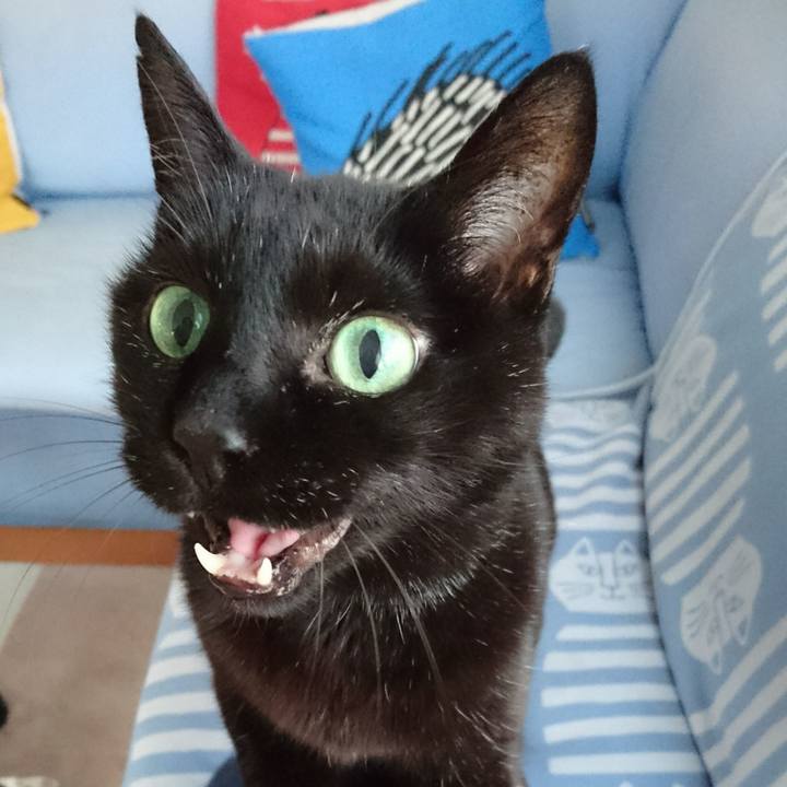 A6ab899d 8800 468a a57c 74520a6ac306 1544517624099