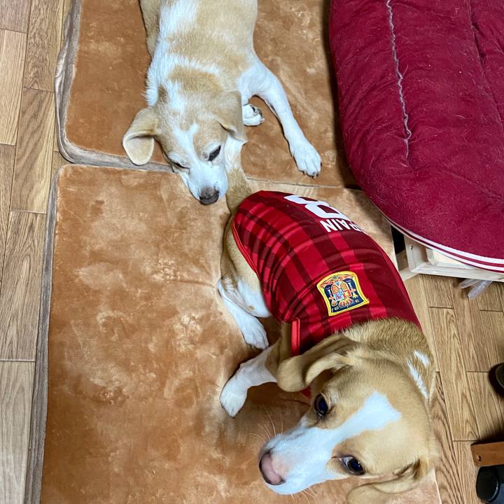 A6ab92e4 d93e 4b60 bac2 7e8193a33ae3 1599101563111