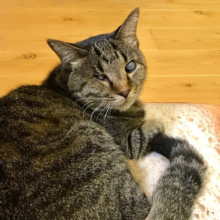 A6abc3b2 68b4 48e2 be55 acef12305174 1563841778492