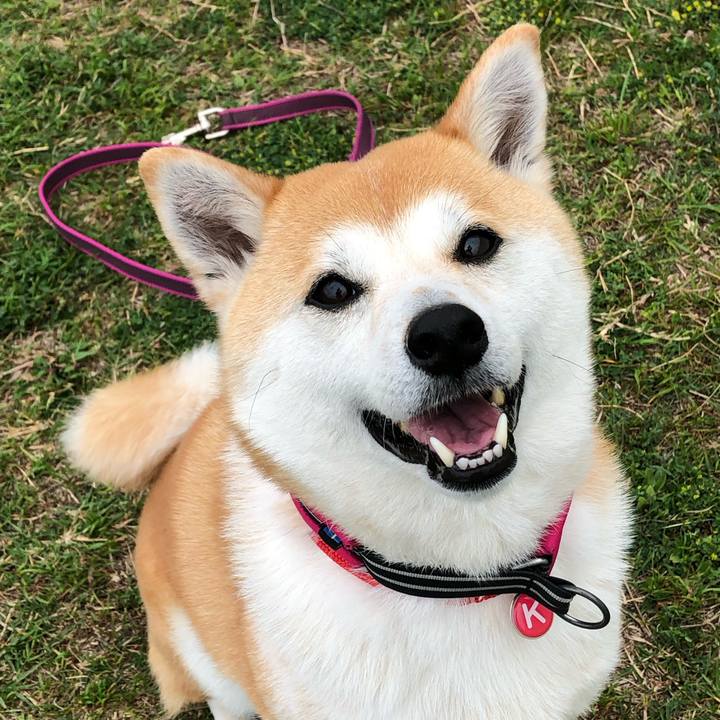 A6abe1c4 bc41 4b1e b049 91bc971bb9af 1556104371869