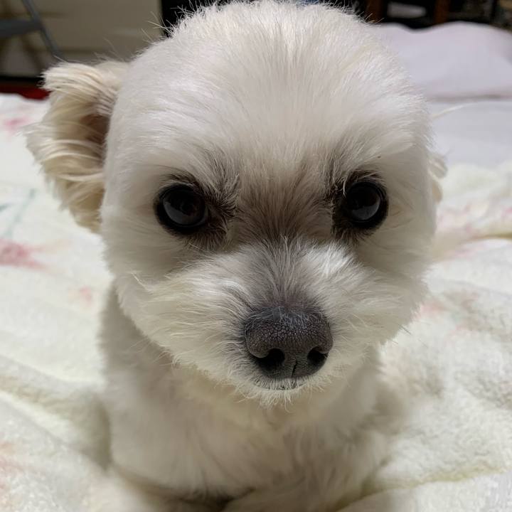 A6abec59 c50a 4eb8 a12e 652ff918aa04 1649761922187