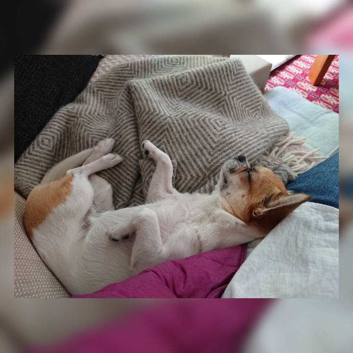 A6ac2054 9cfb 4baf 9299 04479ebac490 1592094883631