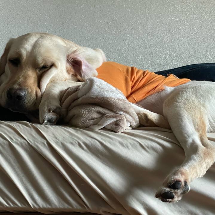 A6ac34b3 4170 40a1 9e78 c90595ad9bd9 1669511230582