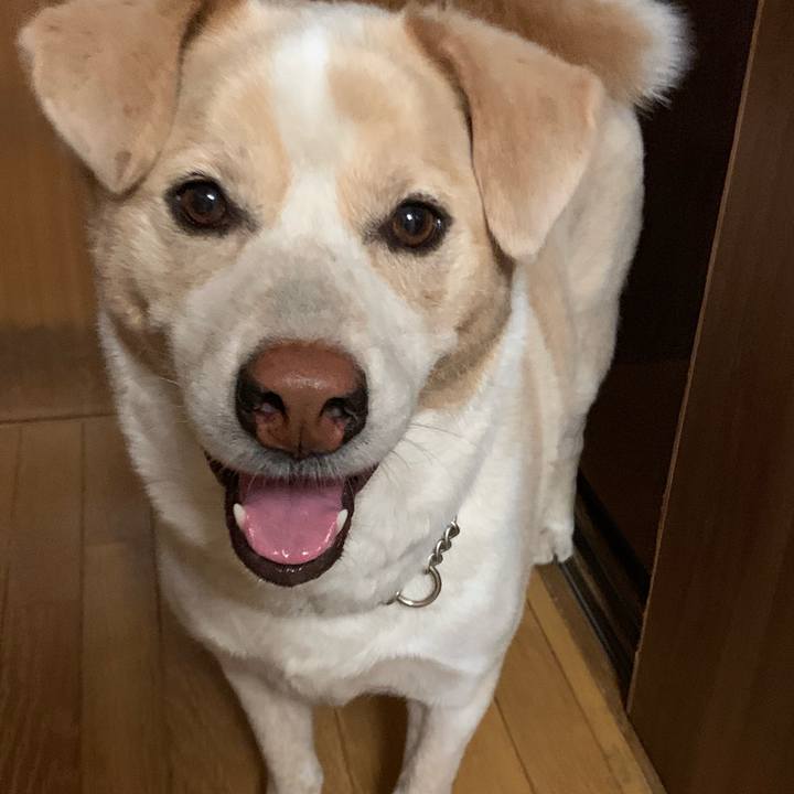 A6ac7ce4 59fa 44e1 ae20 c93f594cf419 1561471176208