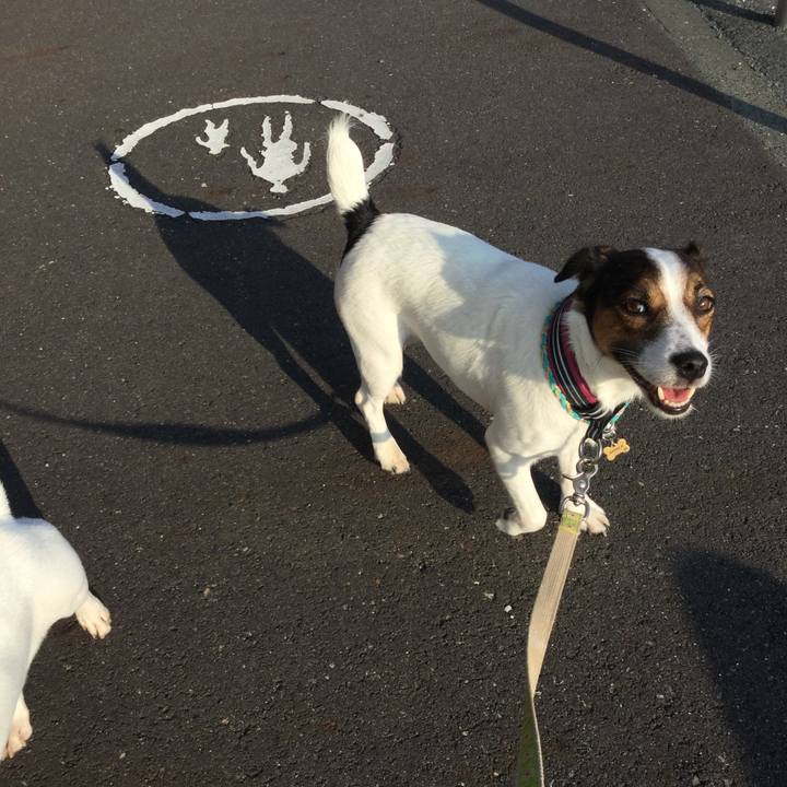 A6aca163 72c4 4579 8de1 a169925aa4e4 1507762894518